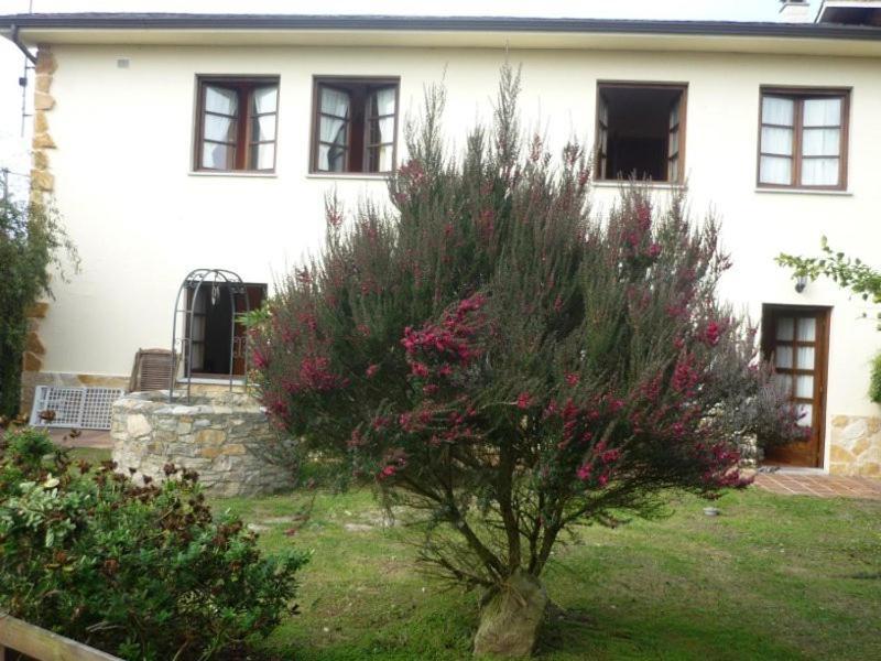 Apartamentos Rurales La Caramba Lamuno 外观 照片